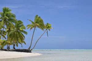 : PACIFIC ISLANDS STOCK