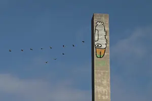 : PAM THE BIRD BOLTE BRIDGE MELBOURNE