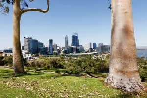 Images Dated: PERTH STOCK IMAGES