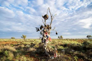 Editor's Picks: WESTERN NSW STOCK